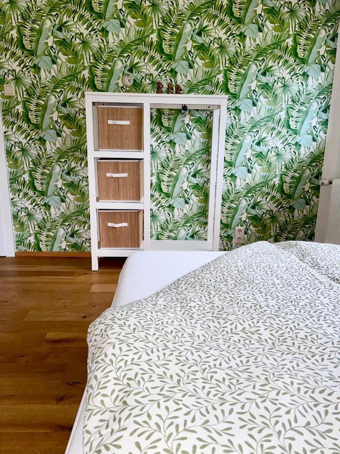 Almsternderl 2.0 - Gemuetliches Appartment In Гозау Екстер'єр фото